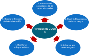 principios-cobit-5